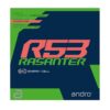 Mặt vợt Andro Rasanter R53
