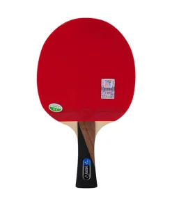 VỢT 729 CARBON VERY 6 SAO